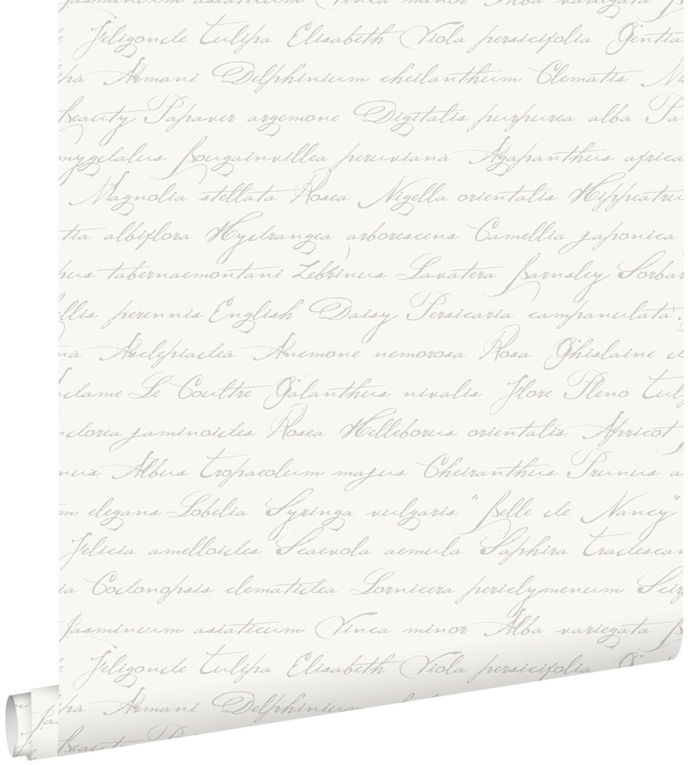 TAPETE handgeschriebene lateinische Blumennamen 53 cm x 10.05 m - Grau, Papier (53/1000cm) - ESTAhome