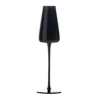 CHAMPAGNERGLÄSER 220 ml (2er-Set) - Schwarz, Glas (0.2L) - Intirilife