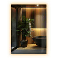 LED-SPIEGEL 70x50 cm Rechteckig Warmweiß 3000K - Transparent, Glas (50/70/0.4cm) - Wallfluent