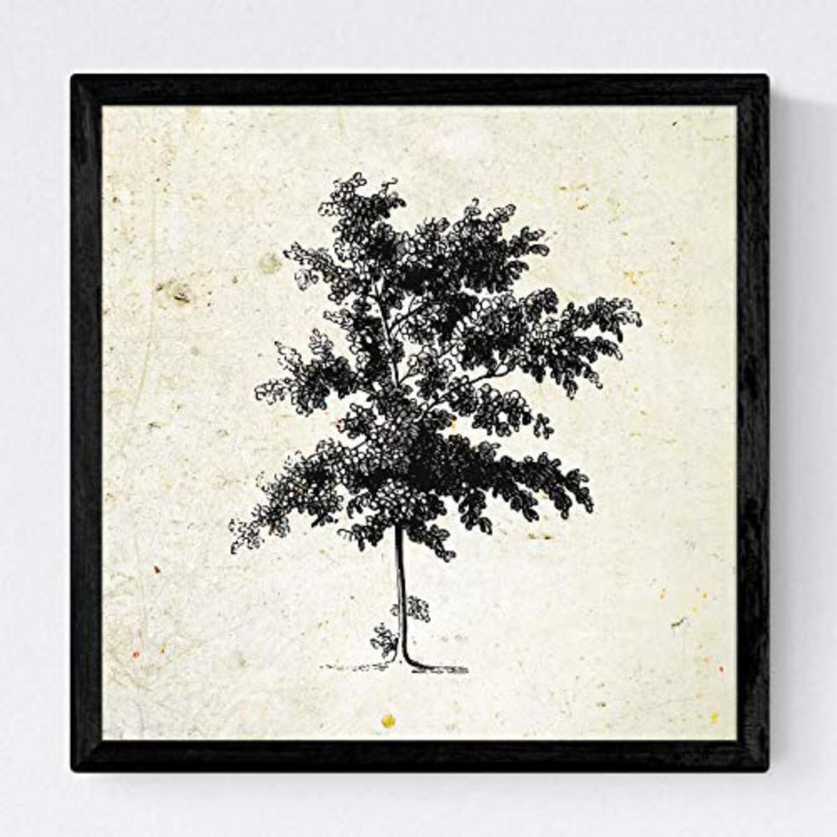 POSTER Set mit 4 Blättern der Bäume mittlerer, Jahrgang Hintergrund 20x20cm Rahmenlos - Klar, Papier (20/3cm) - Nacnic