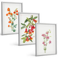 BILDER SET 3er Set - 40x60 cm Silberner Rahmen - Vintage-Retro-Blumenmalerei - Silberfarben, Kunststoff (40/60cm) - TULUP