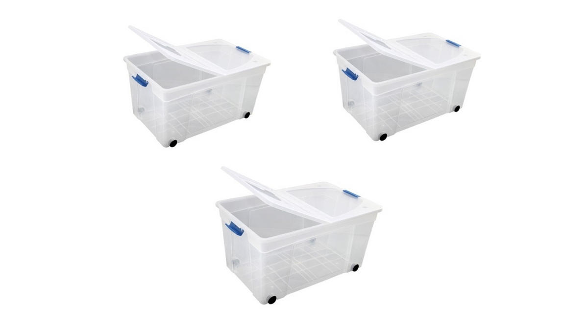 AUFBEWAHRUNGSBOX, S-free, 60L 3er-Set - Transparent, Kunststoff (59/32/59cm)