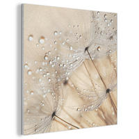 AKUSTIKBILD Löwenzahn - Abstrakt - Natur - Beige Wandbilder 60x60 cm - Braun, Kunststoff (60/60/0.9cm) - MuchoWow