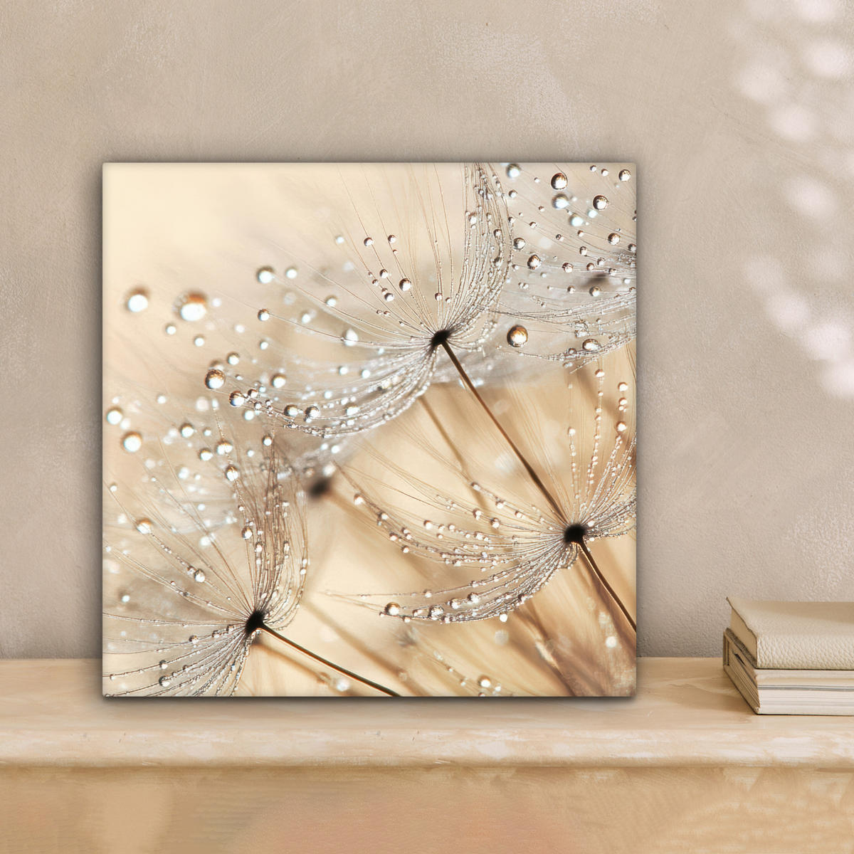 LEINWANDBILD Löwenzahn - Abstrakt - Natur - Beige 20x20 cm - Braun, Textil (20/20cm) - MuchoWow