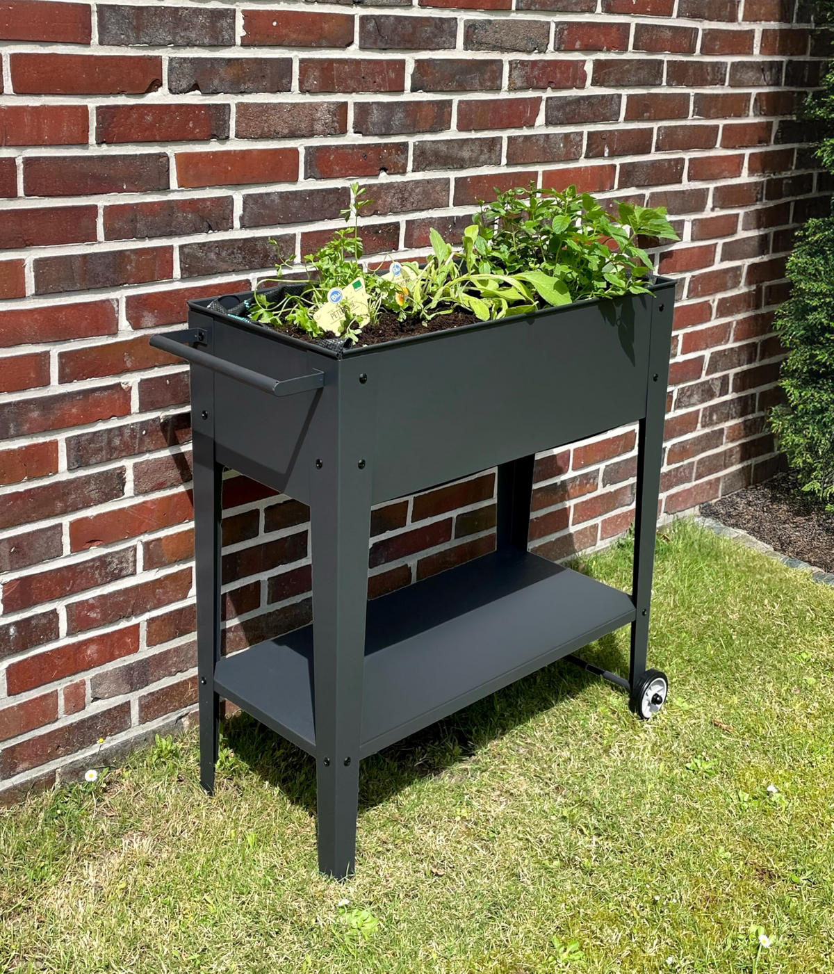 HOCHBEET Metz mobil Anthrazit Stahl Metall-Hochbeet für Garten - Anthrazit, Metall (34/80/82cm) - DELUKE