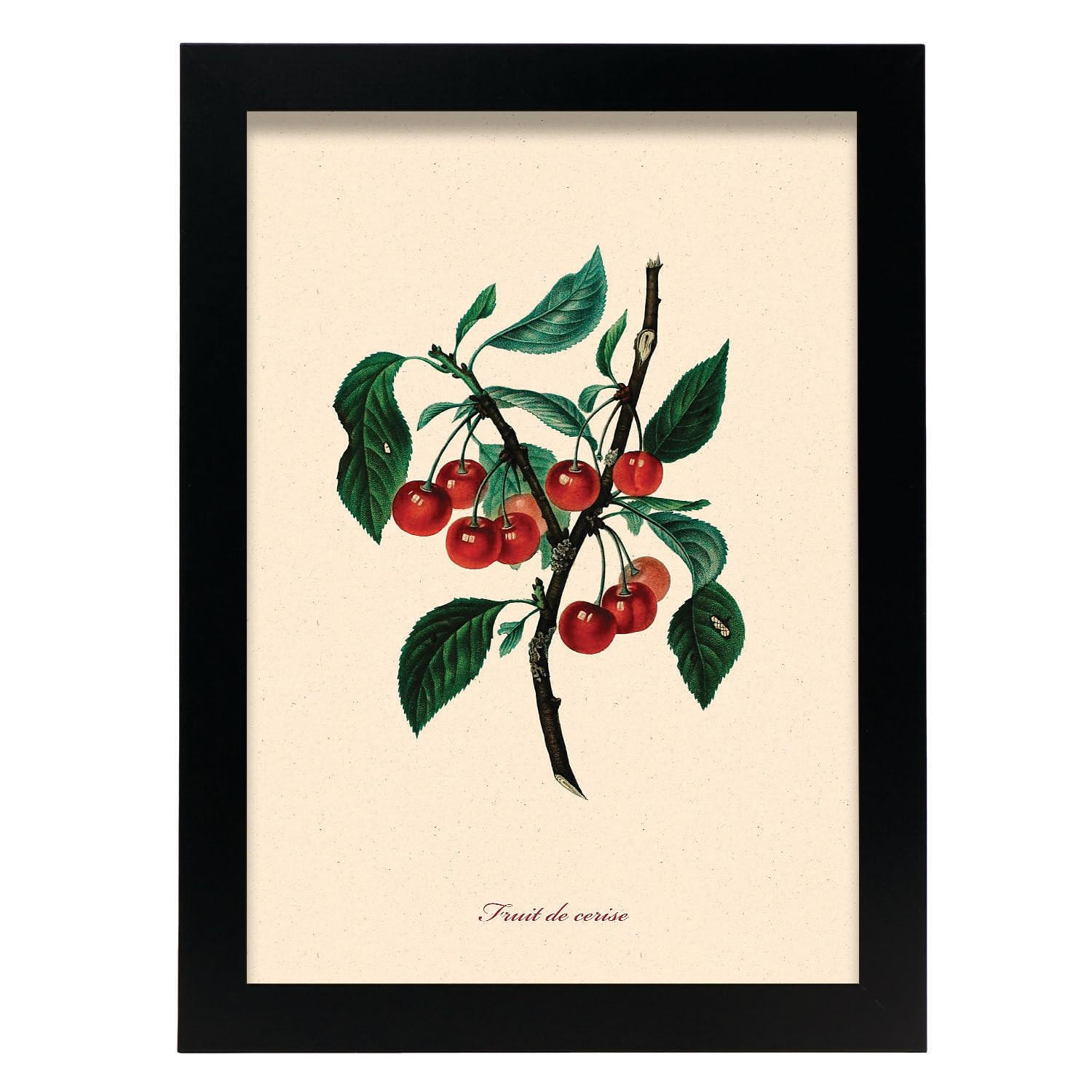 POSTER Kirschbaum A4 Schwarzer Rahmen - Schwarz, Papier (29.7/5/21cm) - Nacnic