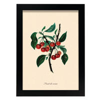 POSTER Kirschbaum A4 Schwarzer Rahmen - Schwarz, Papier (29.7/5/21cm) - Nacnic