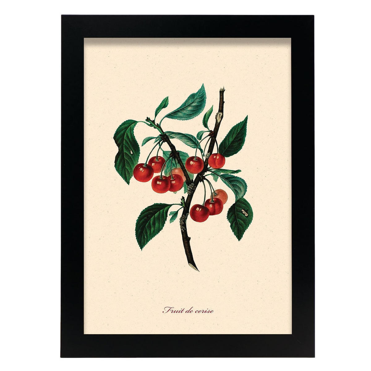 POSTER Kirschbaum A4 Schwarzer Rahmen - Schwarz, Papier (29.7/5/21cm) - Nacnic