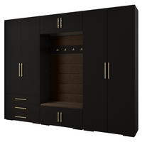 GARDEROBEN-SET 236,7/300/47 - Goldfarben/Schwarz, Holz/Kunststoff (300/236.7/47cm) - Abiks Möbel