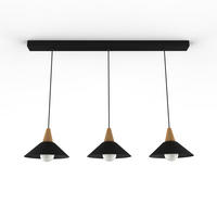 HÄNGELEUCHTE Funnel Linear - Schwarz, Metall (25/100/16cm) - Lumicom