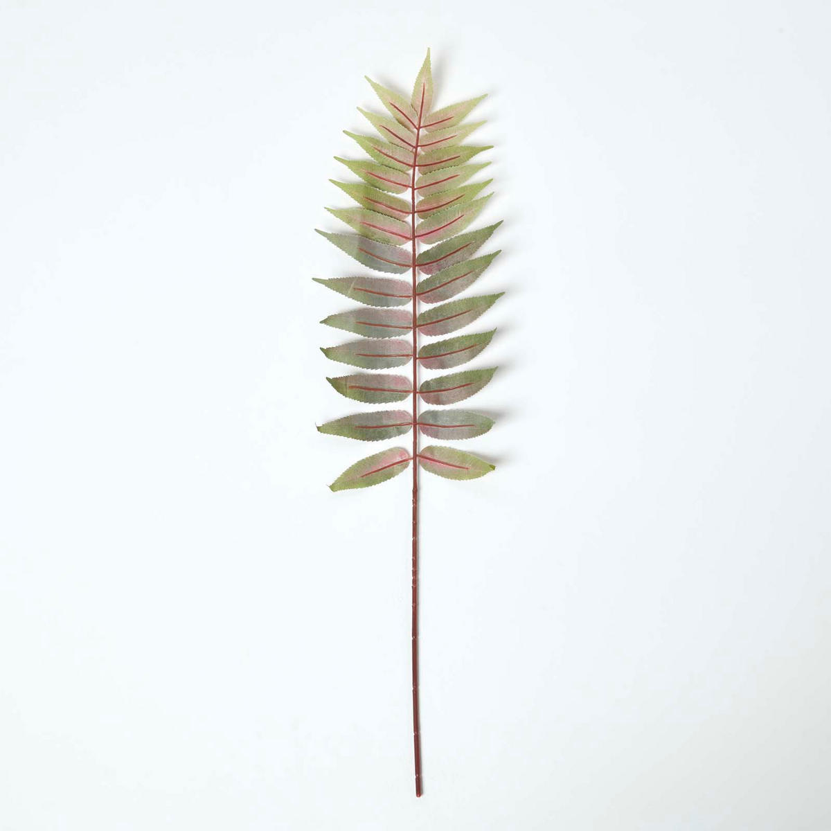 DEKOZWEIG Palmfarn rot-grün, 72 cm - Grün, Kunststoff (72cm) - Homescapes