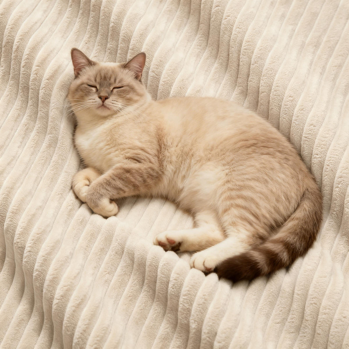 WOHNLANDSCHAFT Beige 382/177/69 cm 4-Sitzer Modular Cordstoff - Beige, Textil (382/69/177cm) - PANGIVO