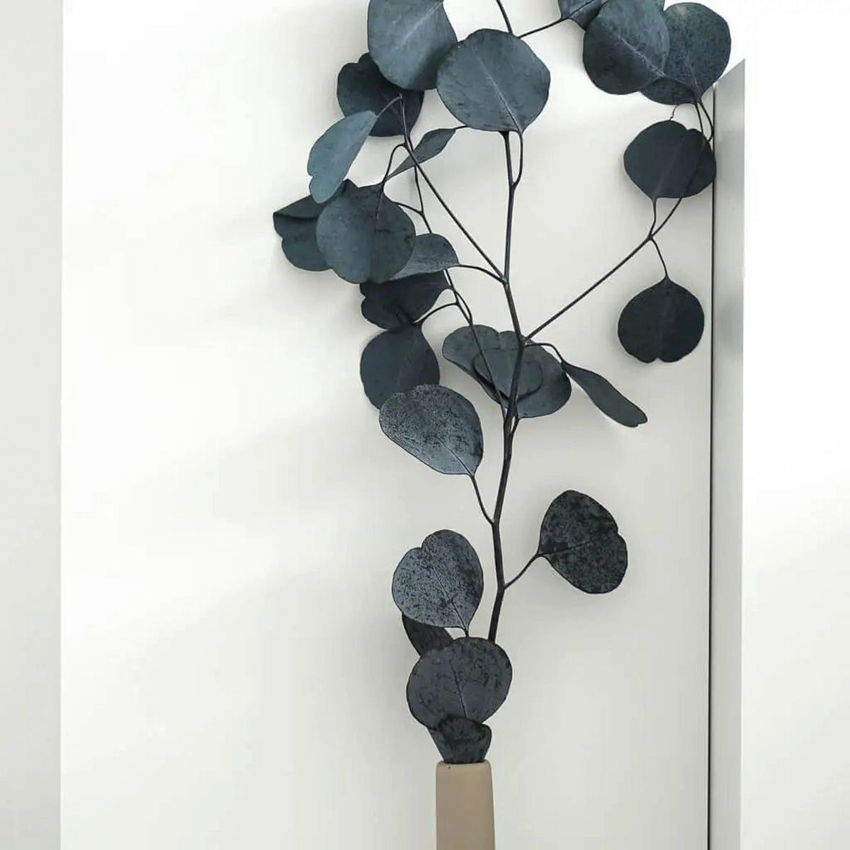 EUKALYPTUS Popolus - der Runde - rot / Bund - Rot, Naturmaterialien (70cm) - Lykke & You