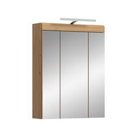 SPIEGELSCHRANK inkl. Bel. SCOUT (B/H/T: ca. 60/79/18 cm) in Artisan Eiche Nachbildung/Salbei - Eiche Artisan, Holzwerkstoff (60/79/18cm)