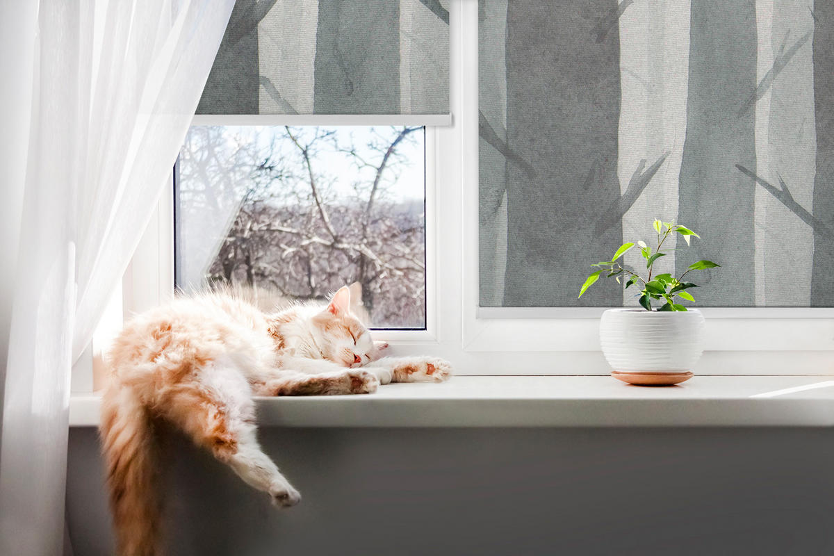 ROLLO LICHTDURCHLÄSSIG 100x140 cm Bäume - Grau, Textil (100/140cm) - TULUP