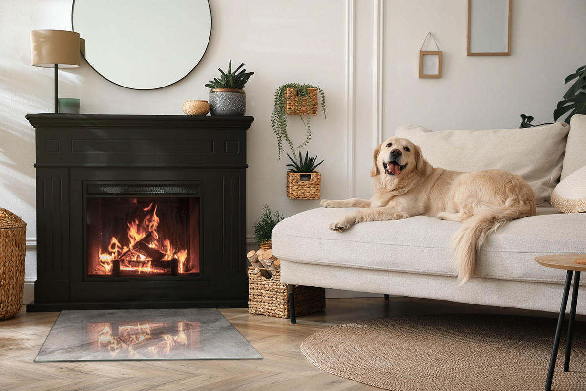 GLASPLATTE für Kamin 80x60 cm - Grau, Glas (80/60/0.4cm) - TULUP