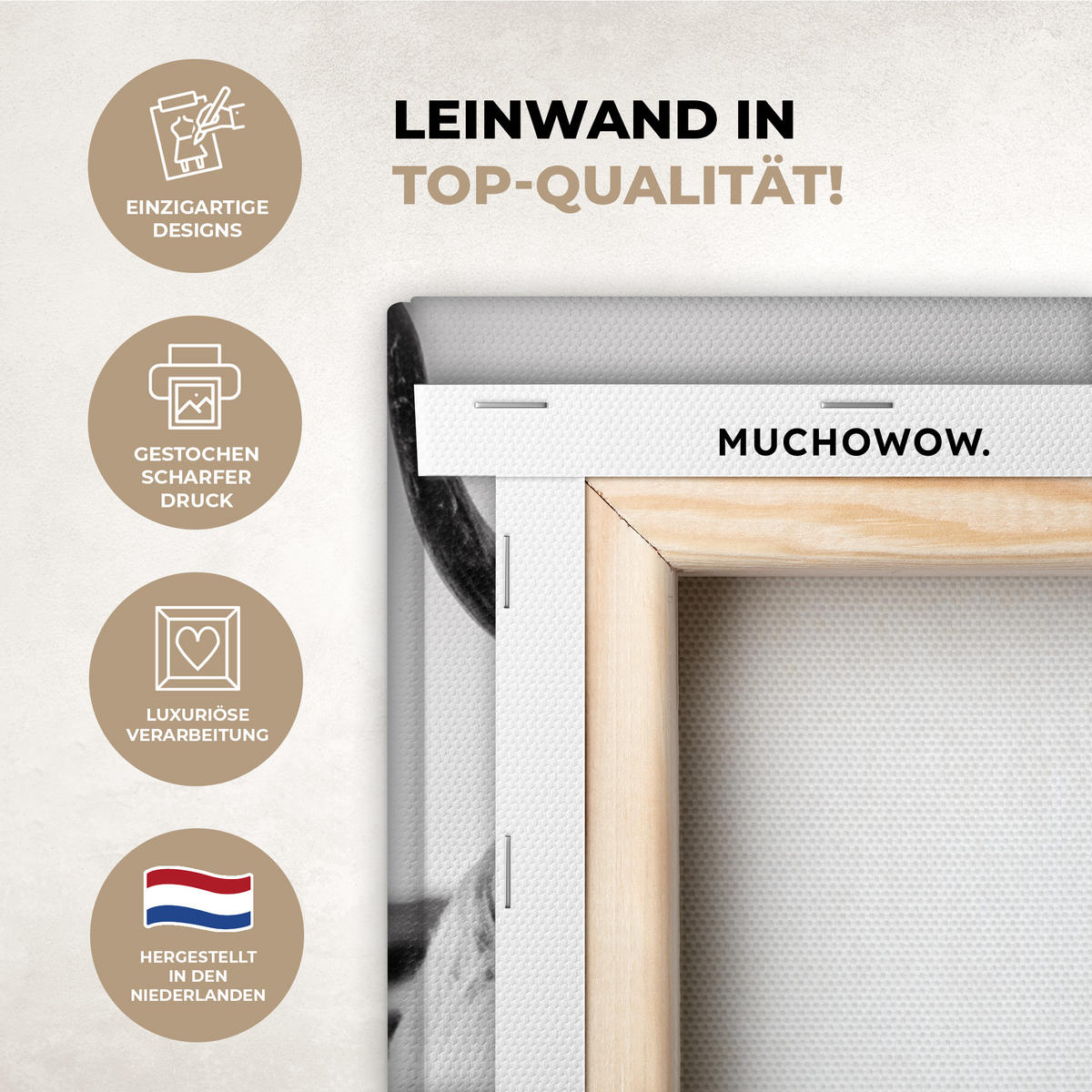 OBRAZ NA PLÁTNĚ Kráva - Skotský horal - Černá - Bílá - Zvíře - Příroda - Divoká zvěř 40x30 cm - černá, textil (40/30cm) - MuchoWow