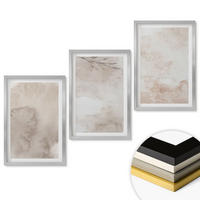 WANDBILDER 3er Set - 40x60 cm Silberner Rahmen - Verschüttete Boho-Aquarellfarben - Silberfarben, Kunststoff (40/60cm) - ArtPrintCave