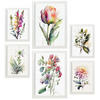 POSTER Set Mit 6 Wilde Blume Größe A3 & A4 Weißer Rahmen - Weiß, Papier (29.7/1cm) - Nacnic