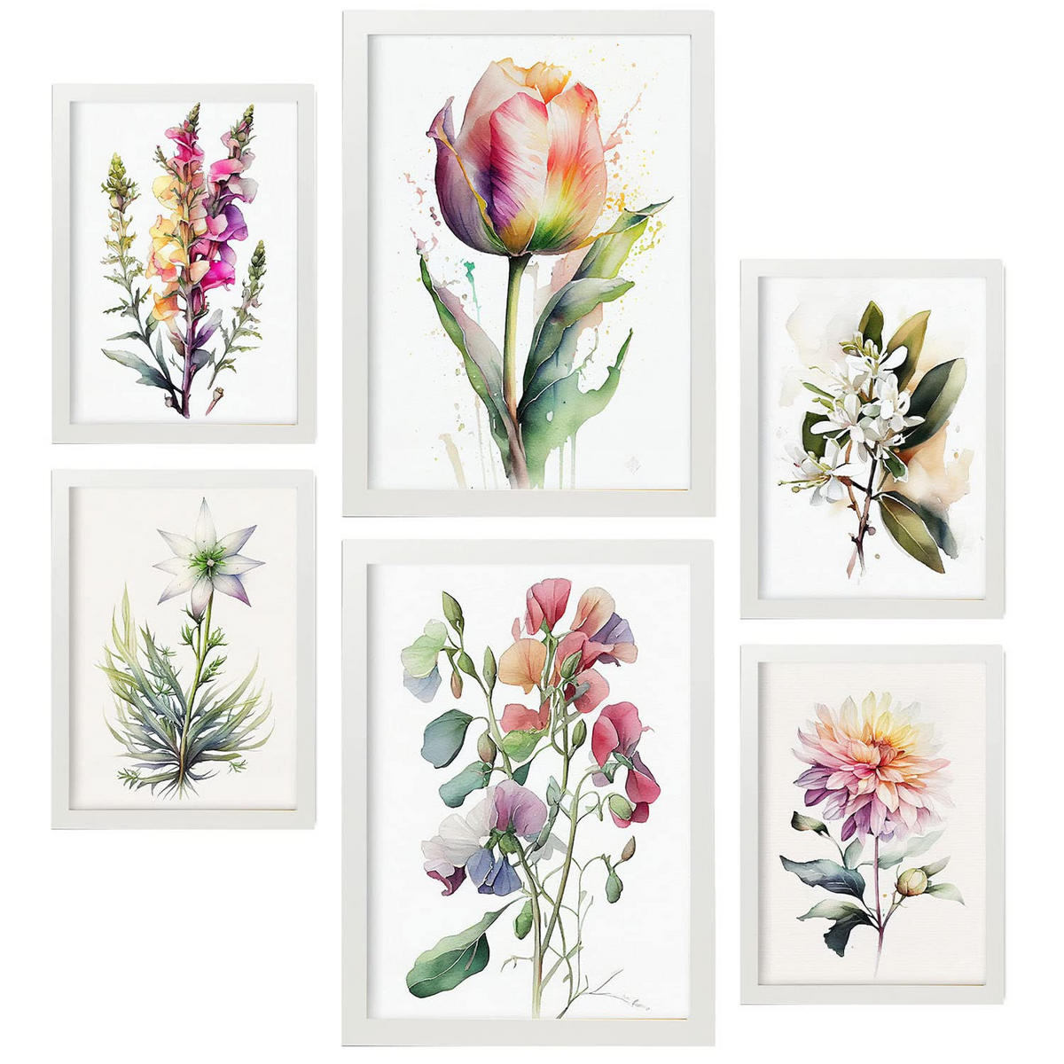 POSTER Set Mit 6 Wilde Blume Größe A3 & A4 Weißer Rahmen - Weiß, Papier (29.7/1cm) - Nacnic