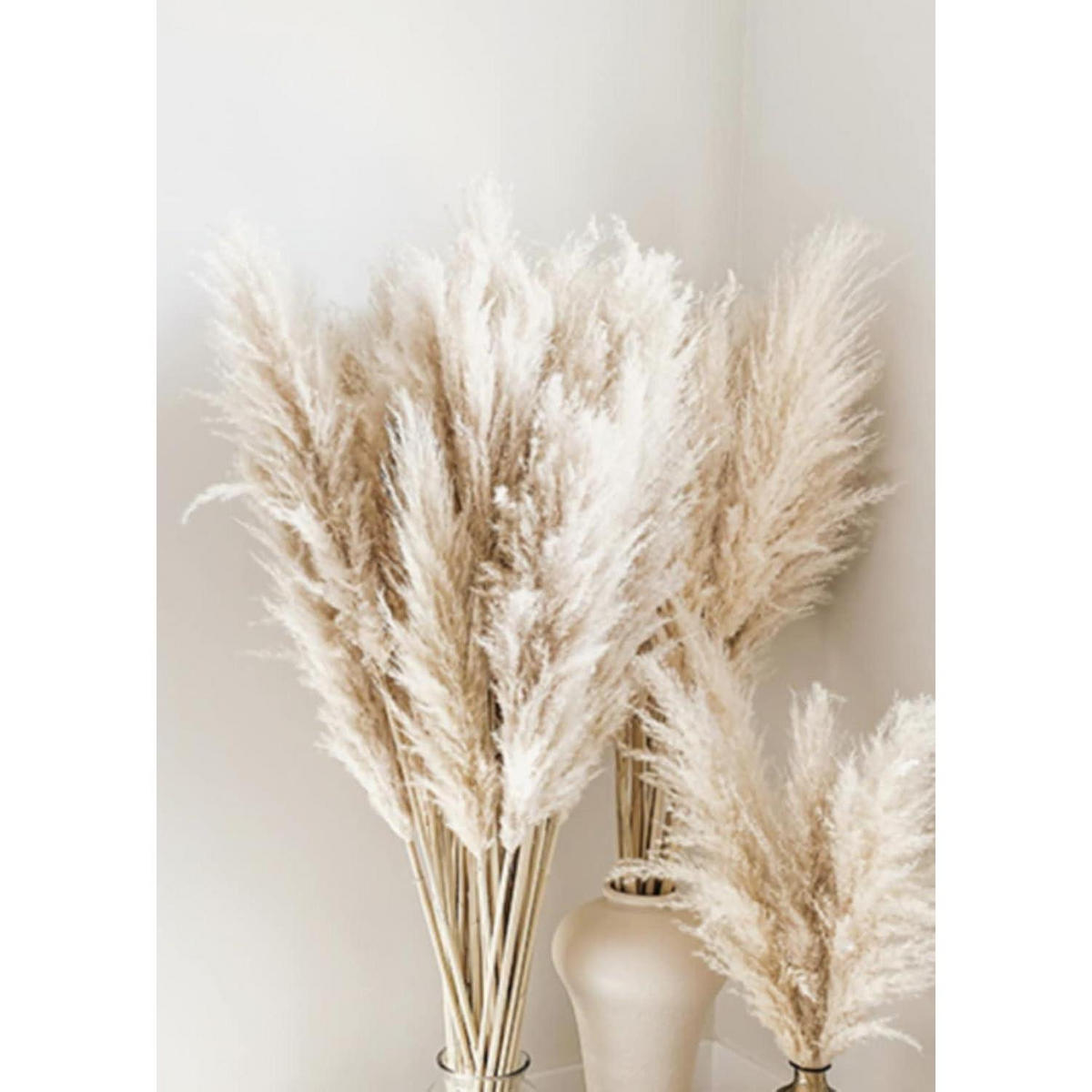 POSTER Set 3-teilig Schilf Natur 30x40 cm - Beige, Papier (30/0.1cm)