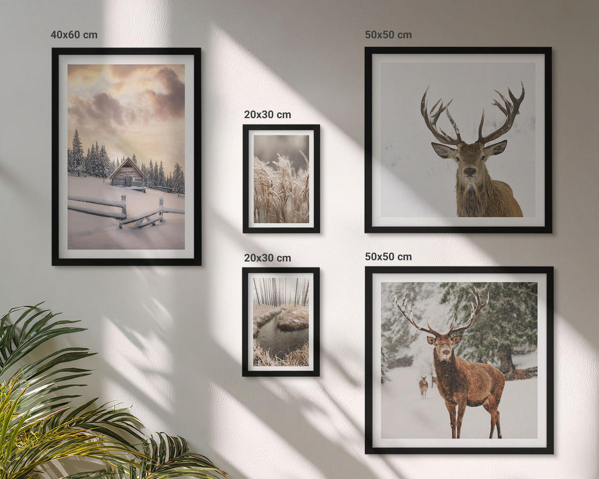 BILDER SET 5er Set - 50x50 cm & 20x30 cm & 40x60 cm Schwarzer Rahmen - Winterlandschaft mit Hirschen - Schwarz, Kunststoff (40/60cm) - TULUP