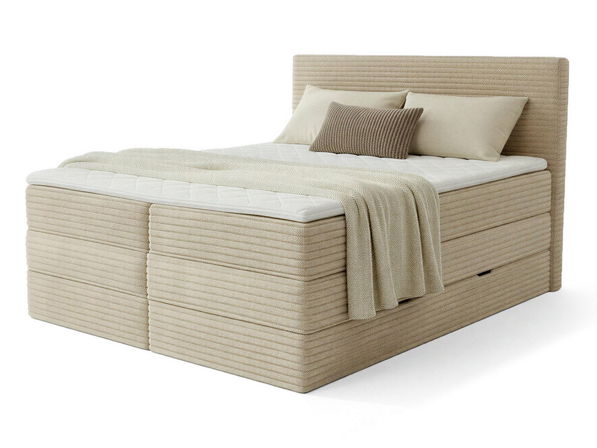 BOXSPRINGBETT Mollo Max - 160x200 - beige (Tilia 03, Cord) - Beige/Schwarz, Holz/Holzwerkstoff (160/200cm) - Sofnet
