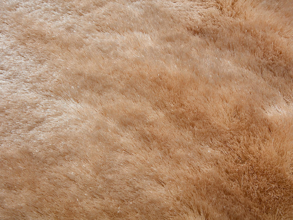 WOHNZIMMERTEPPICH - 200 cm x 200 cm - stoff - beige Dolce - Beige, Textil (200/200cm) - Vente-Unique
