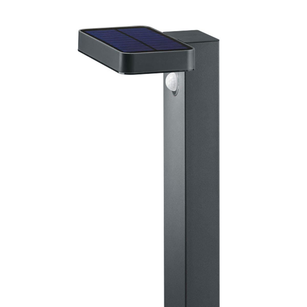 LED AUSSENLEUCHTE ESQUEL Anthrazit Edelstahl - Anthrazit, Metall (14/18/60cm)