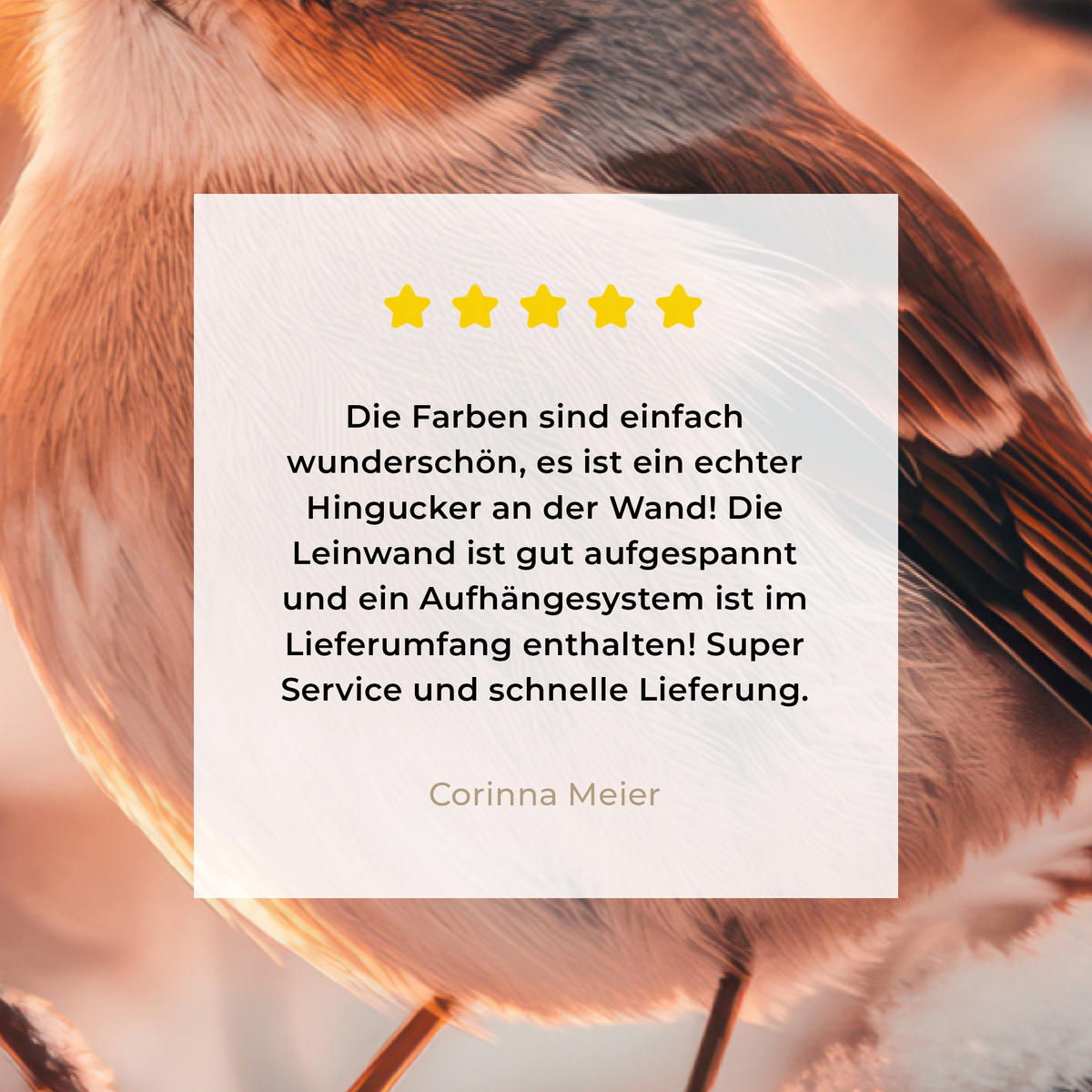 LEINWANDBILD Vogel - Zweig - Winter - Tiere - Schnee Gemälde 60x40 cm - Bernsteinfarben, Textil (60/40cm) - MuchoWow