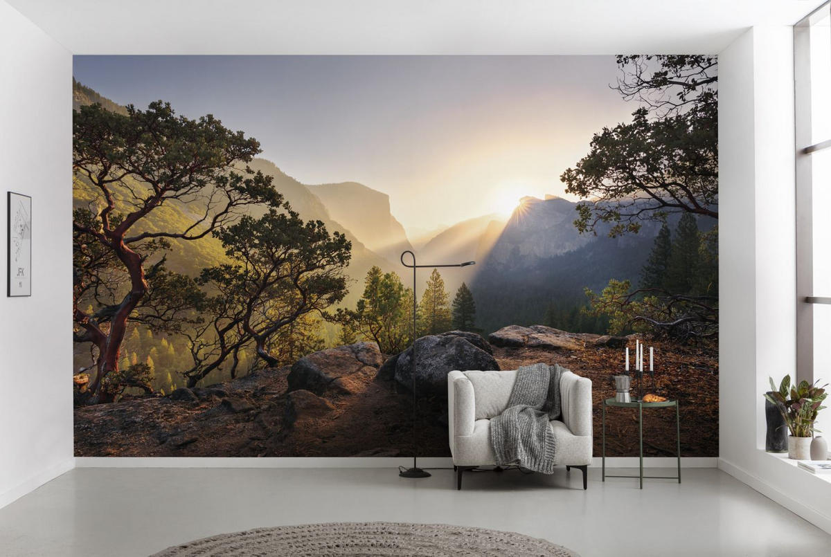 FOTOTAPETE Landschaft 450 x 280 cm - Multicolor, Papier (450/280cm) - Sanders & Sanders