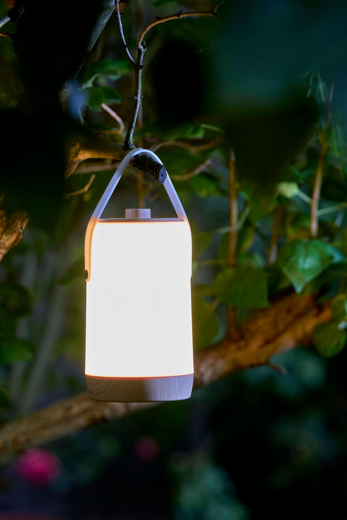 LED-AKKU-LATERNE - dimmbar mit warmweißem und buntem RGB-Licht, Soundsensor und Holzhenkel für Garten und Terrasse, 1er-Set - Weiß, Kunststoff (10.3/10.3/17.3cm) - Northpoint