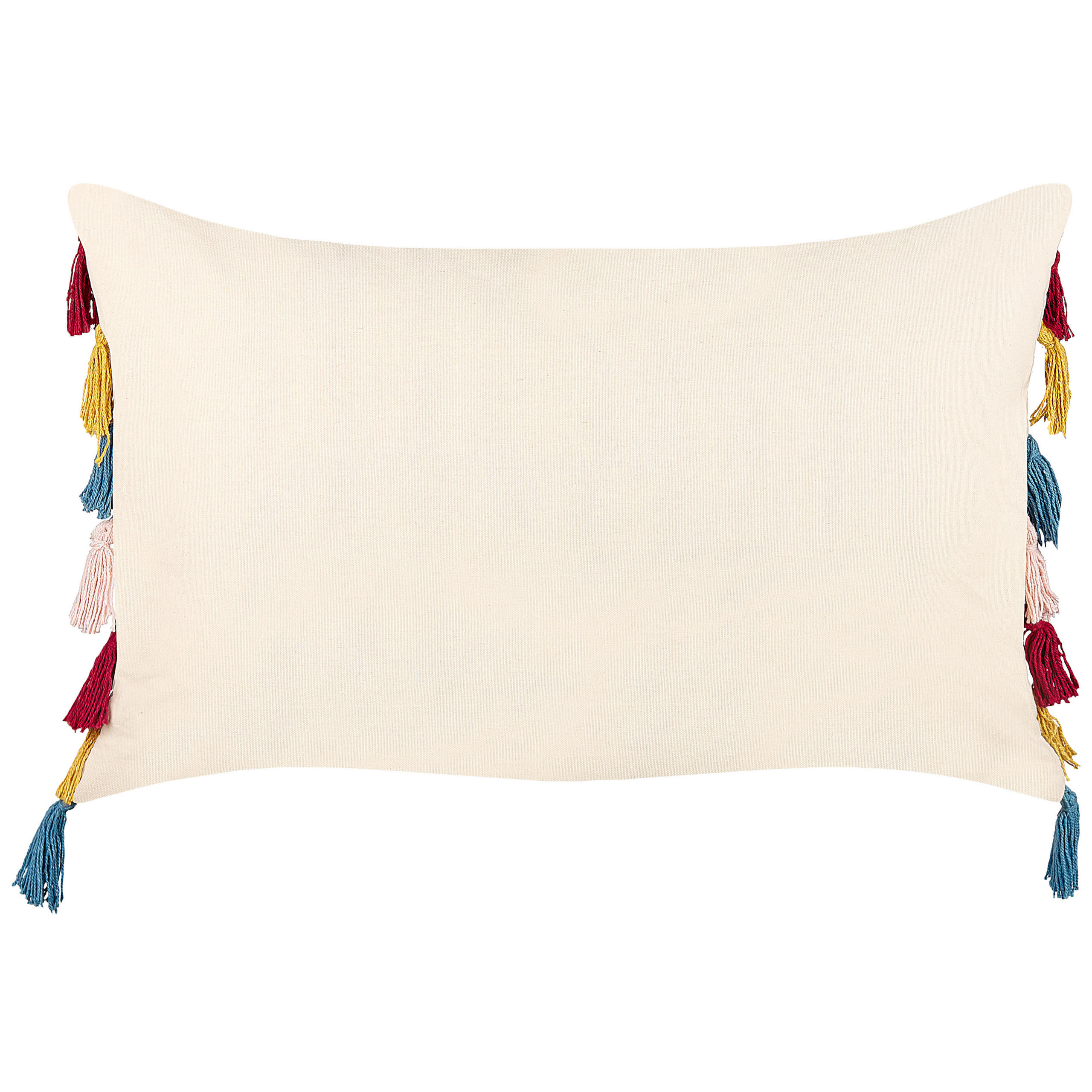 DEKOKISSEN Hellbeige 40/60 cm Agave - Beige, Naturmaterialen/Textil (40/60cm) - Beliani
