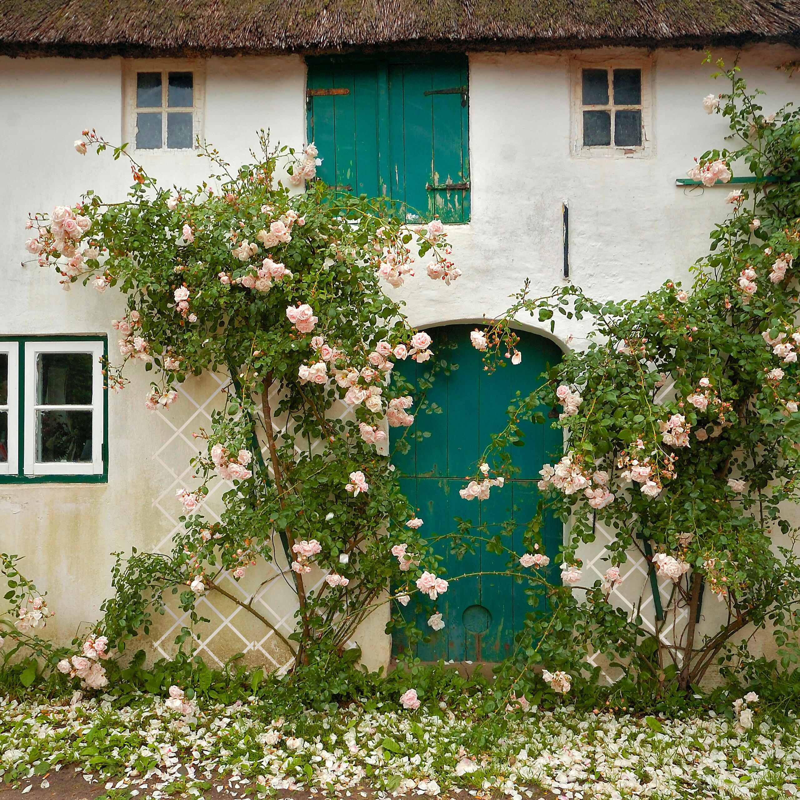 3xRANKGITTER - Weiß, Holz (60/180/1.5cm) - Relaxdays
