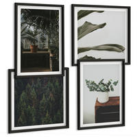 BILDER SET 4er Set - 50x50 cm & 40x60 cm Schwarzer Rahmen - Rustikale Topfpflanzen - Schwarz, Kunststoff (50/50cm) - TULUP