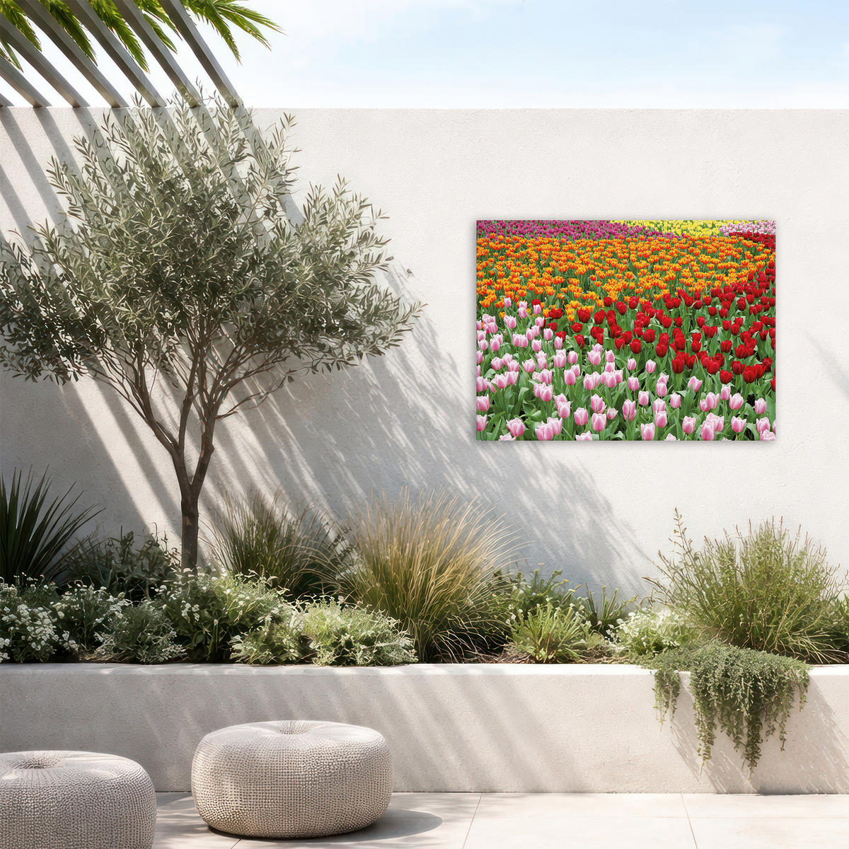 LEINWANDBILD Niederländisches Tulpenfeld 50x70cm - Multicolor, Textil (50/1cm) - Art for the Home