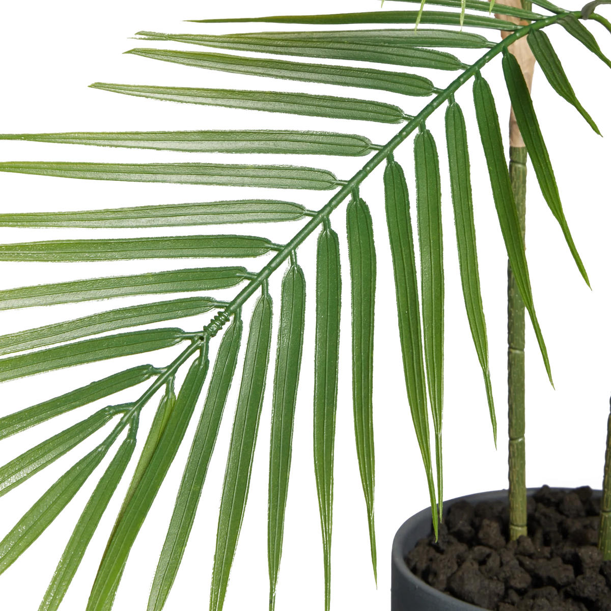 PALMEN Künstliche Bergpalme - Nolte 100 cm - Grün, Kunststoff (100cm) - aplanta
