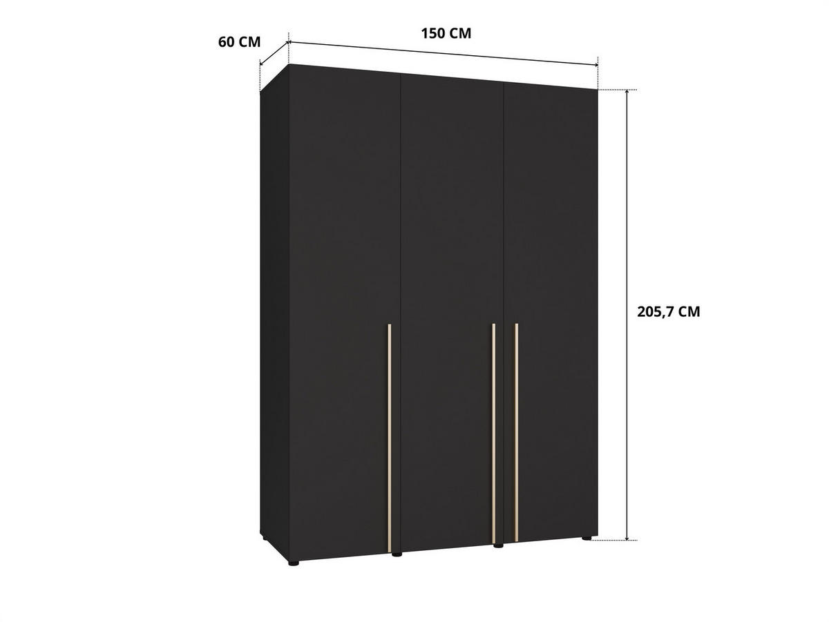 DREHTÜRENSCHRANK Arni Schwarz Matt - 150x206x60 cm - Schwarz, Holzwerkstoff (150/206/60cm) - Ravio