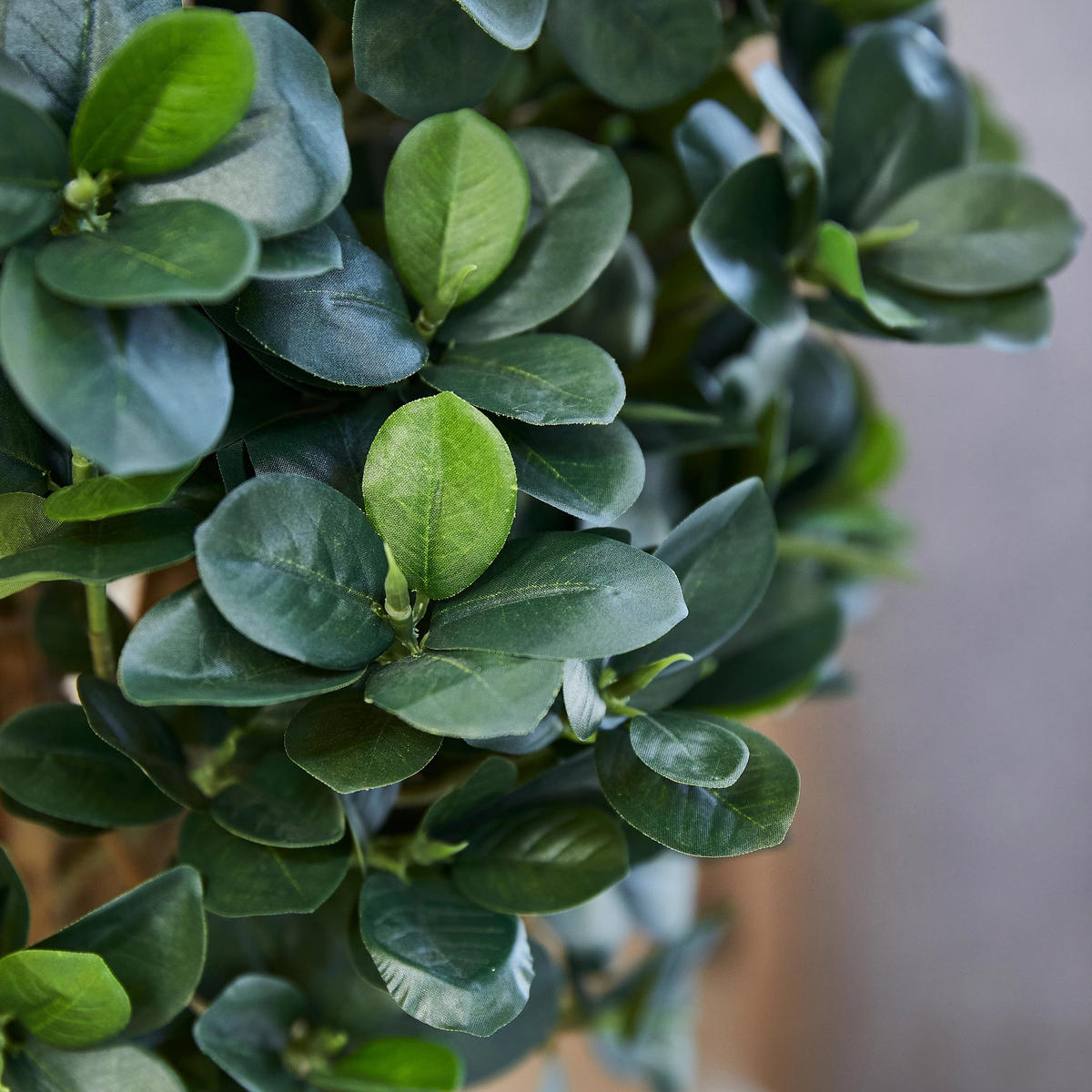 KUNSTBAUM Künstlicher Ficus Panda – Tiberia 70 cm - Grün, Kunststoff (70cm) - aplanta