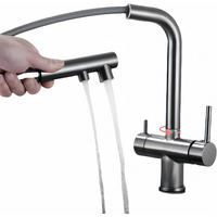 KÜCHENARMATUR 3-Wege mit ausziehbarer Brause, 360° drehbar, für Trinkwasser mit Filterwasserauslass, grau - Grau, Metall (15/33/22cm) - TVTIUO
