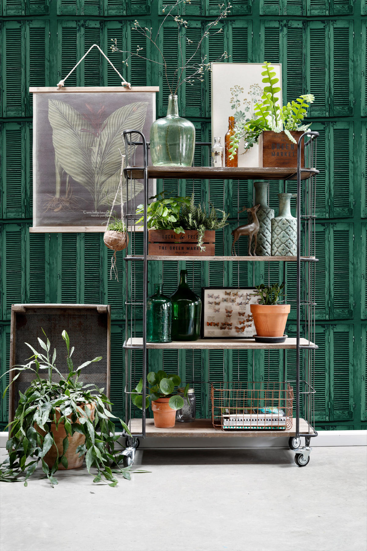 TAPETE verwitterte, französische, vintage Fensterläden 53 cm x 10.05 m - Grün, Papier (53/1000cm) - ESTAhome