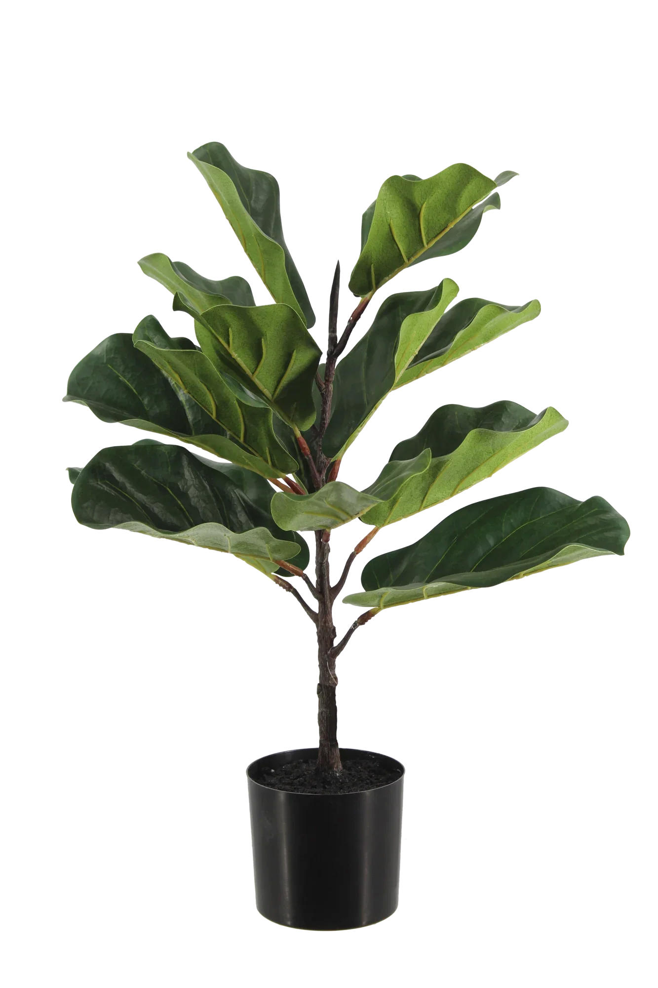 KUNSTBAUM Künstlicher Ficus Lyrata - Luan 60 cm - Grün, Kunststoff (60cm) - aplanta