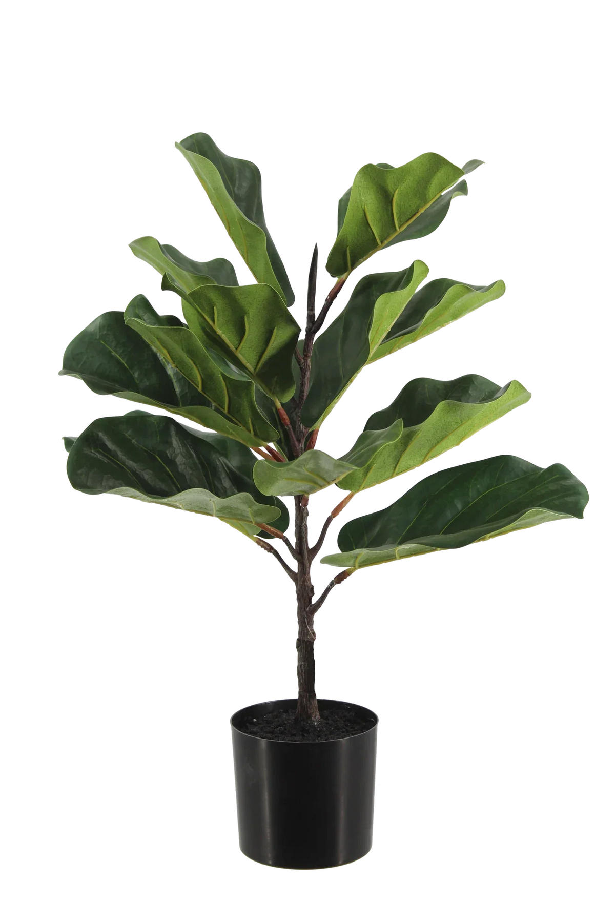 KUNSTBAUM Künstlicher Ficus Lyrata - Luan 60 cm - Grün, Kunststoff (60cm) - aplanta