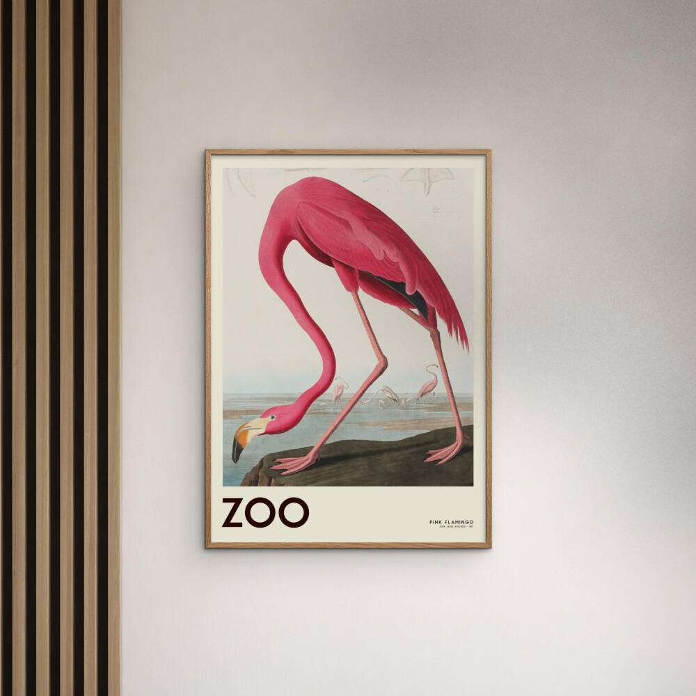 POSTER mit Rahmen A.P. Atelier - The Zoo Collection — Pink Flamingo — Edt. 001 - Pink/Eichefarben, Holz/Papier (50/70cm) - Poster&Frame