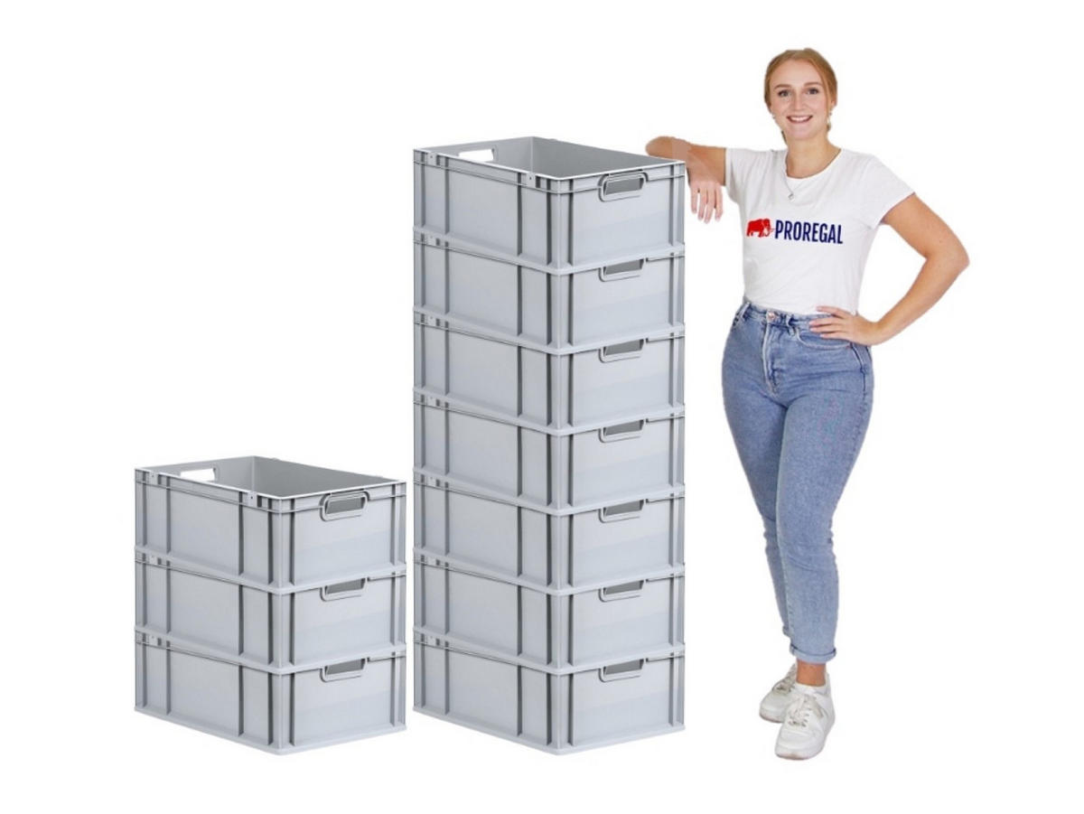 EUROBOX Nextgen Economy Griffe Offen 22x40x60cm 44 Liter - Grau, Kunststoff (40/22/60cm) - PROREGAL