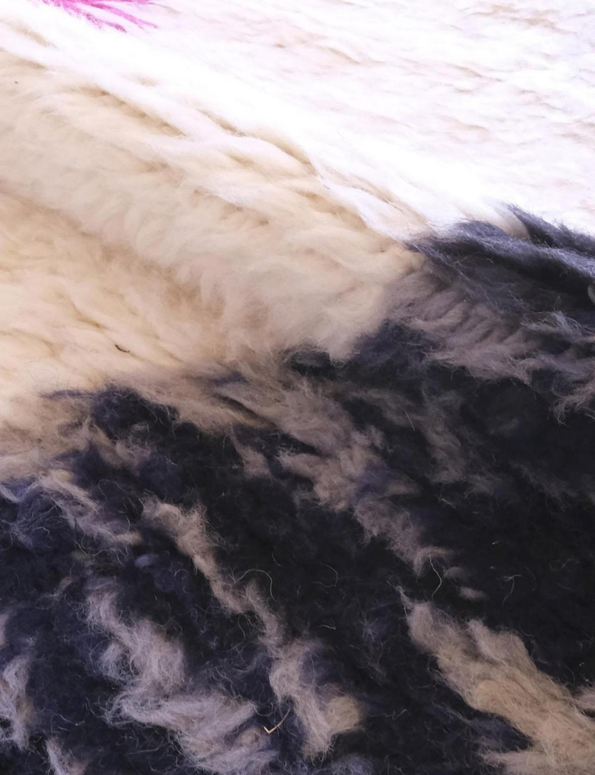 BERBERTEPPICH aus reiner Wolle 254x 291 cm - Multicolor, Naturmaterialien (254/291cm) - AFK Living