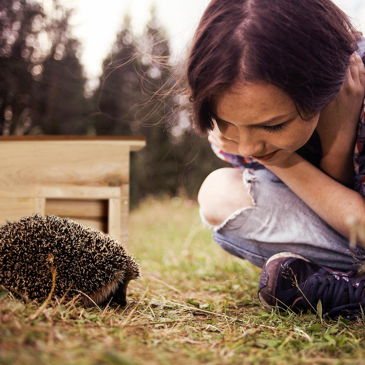 IGELHAUS - Hellbraun, Holz (32/22.5/27cm) - Relaxdays