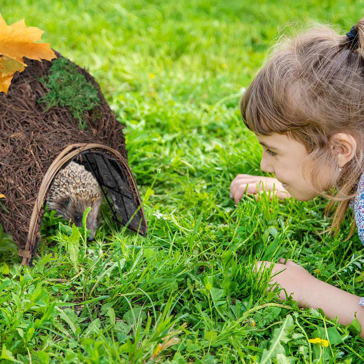 IGELHAUS - Dunkelbraun, Textil/Metall (32/21/48cm) - Relaxdays