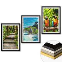 WANDBILDER 3er-Set - 40x60 cm Schwarzer Rahmen - Tropischer Wald Papageienwasserfall - Schwarz, Kunststoff (40/60cm) - ArtPrintCave