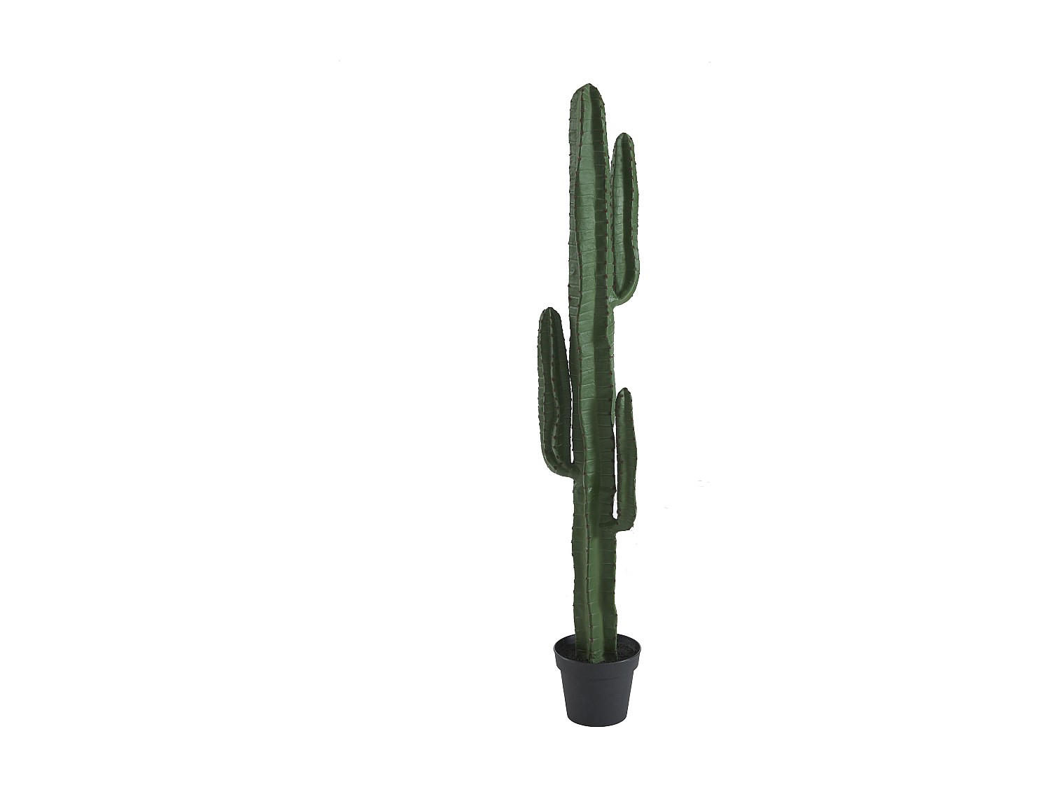 KUNSTPFLANZE - 26 cm x 20 cm - Plastik - Grün - GUADA - Grün, Kunststoff (145cm) - Vente-Unique